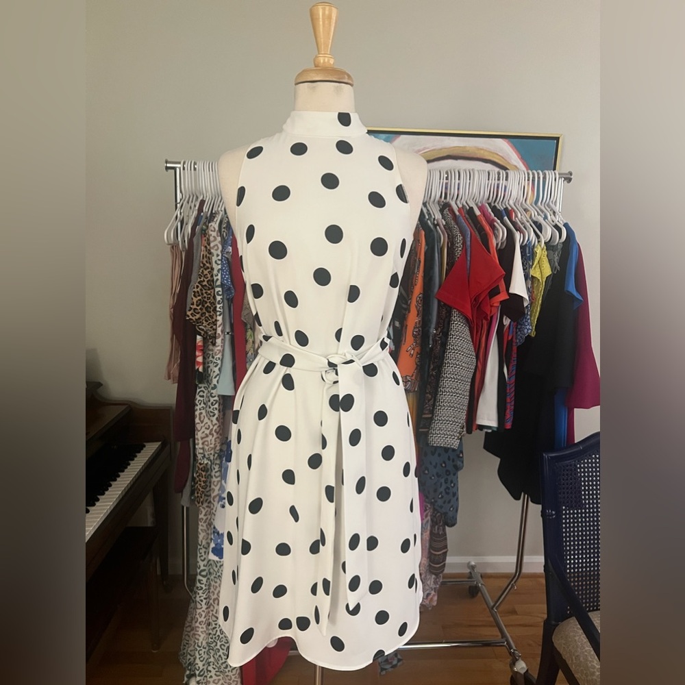Black and White Polka Dot Ann Taylor Dress, Size Small